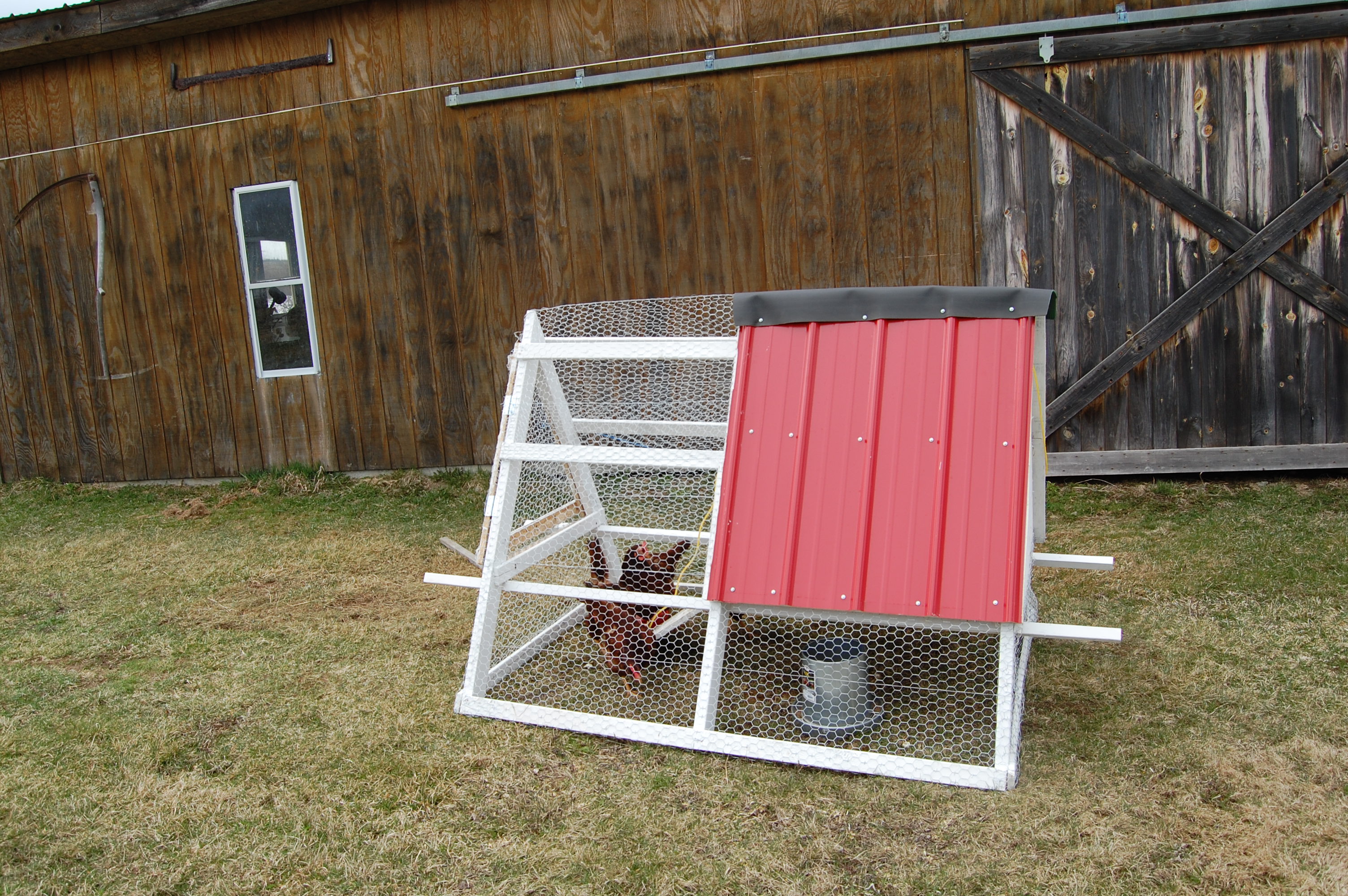 Preparing for Chickens – Whitewashing the Coop | My Rural Garden