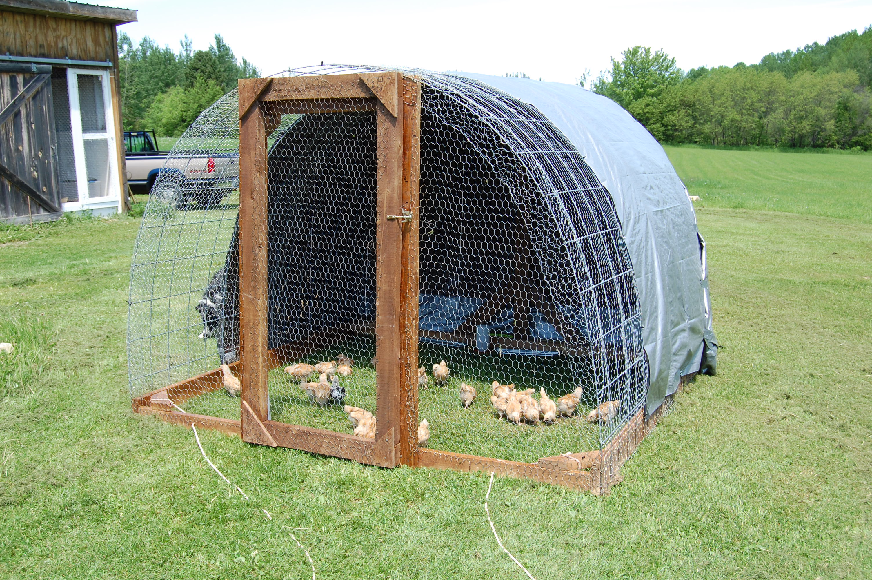 2012 Chicken Coop Plans | My Rural Garden